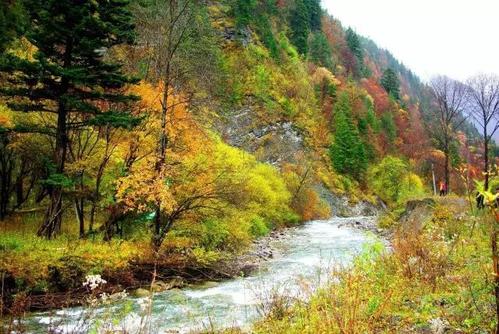 好运来自小事,灾难来自许多人的心