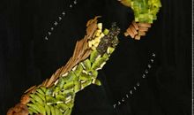 触人心弦的句子