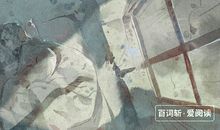 《最后一片叶子》读后感