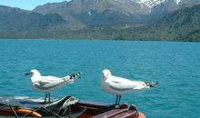 形容湖水的成语