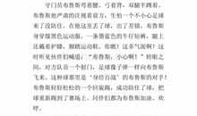 一场精彩的演出作文