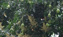 做了才会知道结果