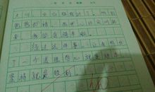 小学生周记400字