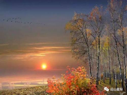 张承志：杭盖怀李玲