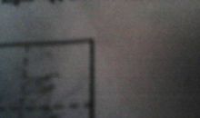 悟其道而出——《科学至上》读后感