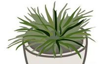 耿林莽：《梦语》