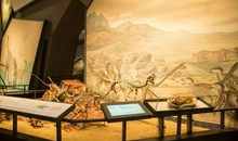 趁现在没死，赶紧去做想做的事吧