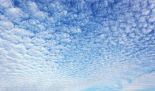 卧看满天云不动全诗