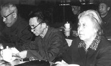 丁玲：彭德怀速写