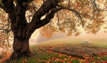 美句摘抄有赏析