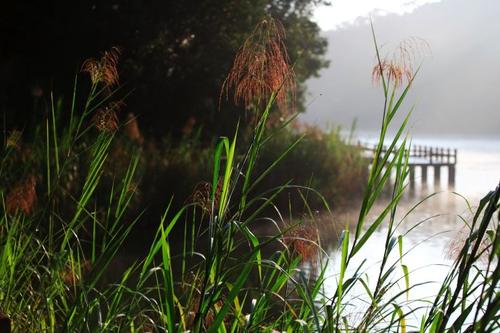 经典励志故事四:信念是种子