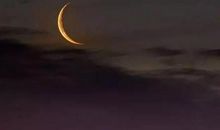 可怜九月初三夜全诗