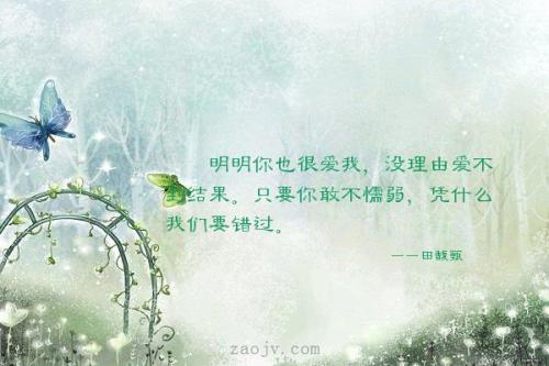 不想错过这句话