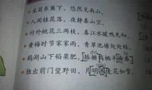 描写阳光好句好段