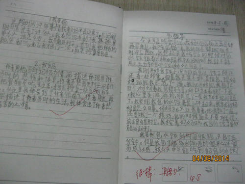 300字作文摘录