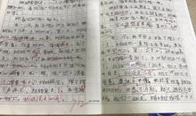500字作文摘抄
