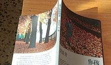 龙应台：男子汉大大夫