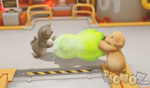 描述小动物：我的小淘气包