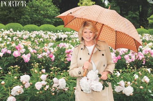 从家庭主妇到保险女王