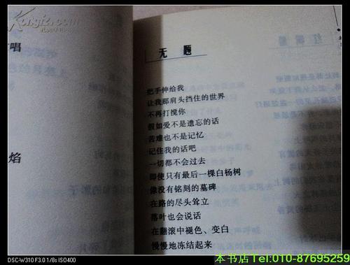 北岛：结局或开始---献给于洛克