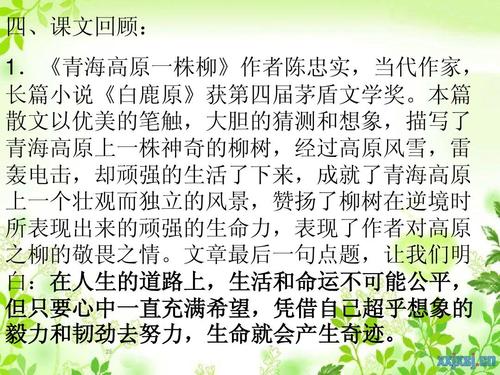 在阅读《轮椅上的鹰嘴鸟》之后的毅力超出了想象