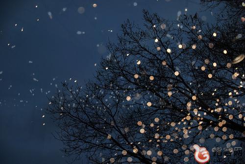 孤独的悲伤个性签名