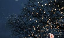 孤独伤感个性签名