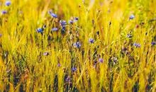 伴随一生的励志美句