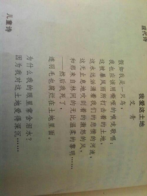 关于雨的现代诗