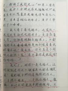 每周500字
