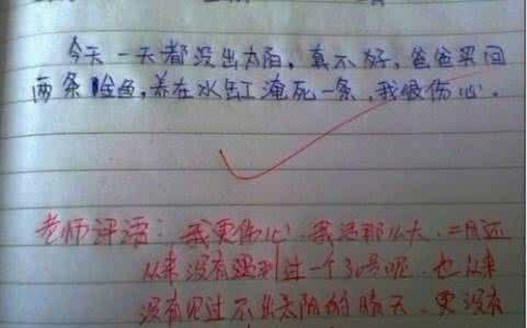 高中普通班学生评语