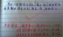 高二普通班学生评语大全