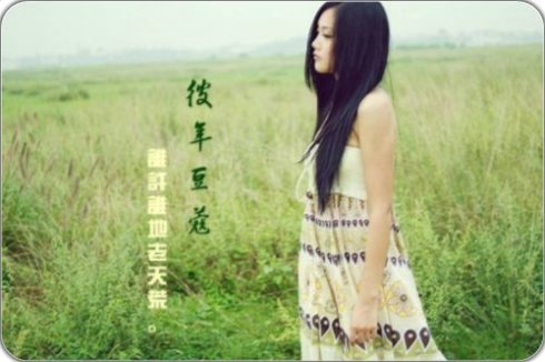 经典语录:爱总是成千上万次