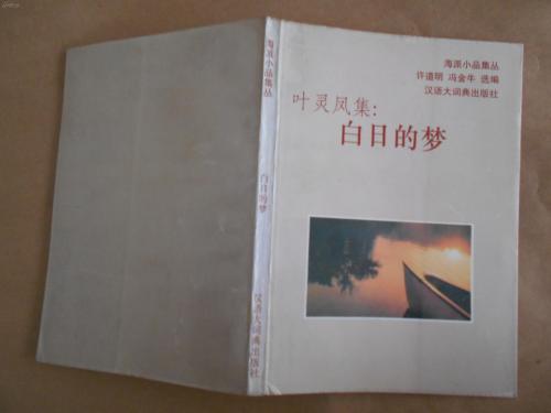 叶凌峰：白日梦