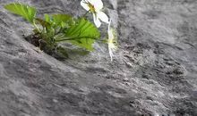 走过人生的悬崖