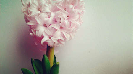 漂亮的句子和图片1