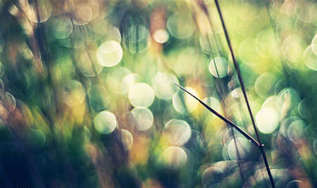 漂亮的句子和图片3