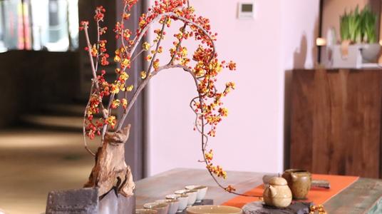 一句话中有九人死亡