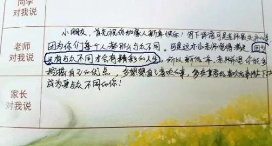 小学老师的学期末精选评论