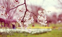 比较唯美的短句大全，唯美伤感的句子短句