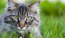 让人豁然开朗的句子