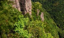 山锐则不高，水狭则不深