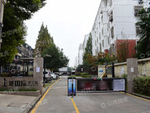 罗兰：凤外星林巷