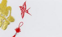 脑瘫患者成长为计算机博士，曾自卑难以启齿