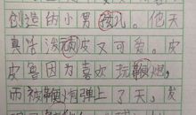 皮皮鲁读后感作文