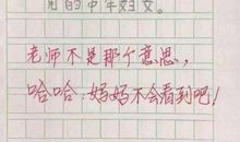 小学生教师评语