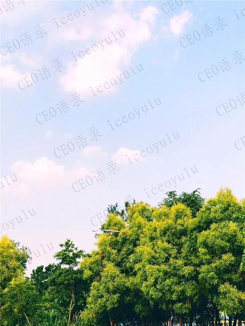 朋友，生活是如此艰难，为自己鼓掌