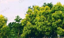 朋友，人生道路多磨难，要为自己多鼓掌