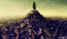 经典语录：痛苦就是痛苦，对痛苦的思考才是财富