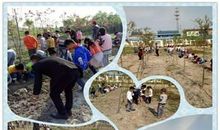 播种什么也不如播种希望